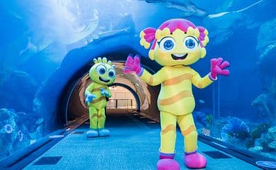 Dubai Summer Surprises