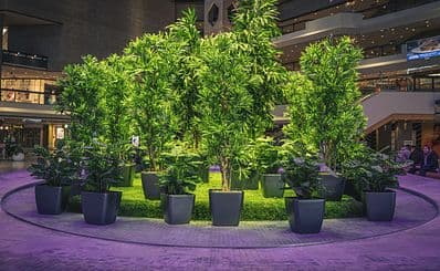 Complexe Desjardins