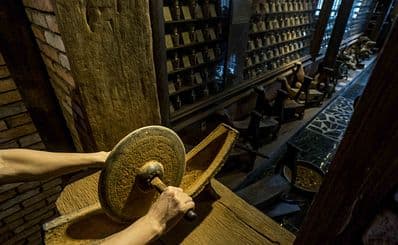 Museum of Traditional Vietnamese Medicine