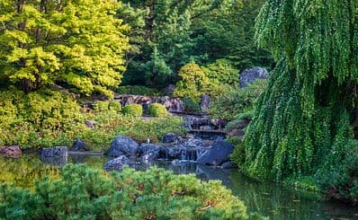 Montreal Botanical Garden