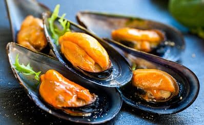Mussel Inn