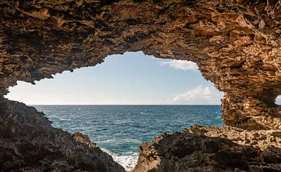Animal Flower Cave