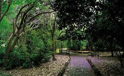 Jardín Botánico Viera & Clavijo