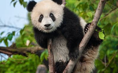 Adelaide Zoo
