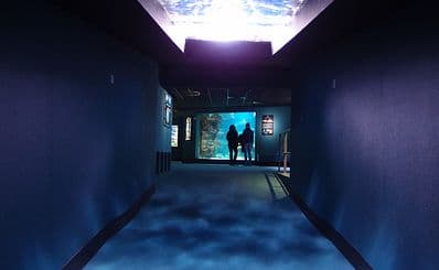 La Rochelle Aquarium