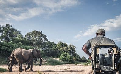 Hwange National Park (Zimbabwe)