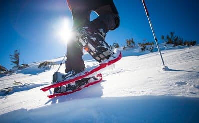 Snowshoeing