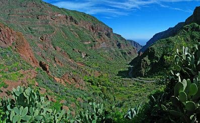 Guayadeque Ravine