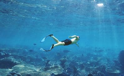 Scuba Diving and Snorkelling
