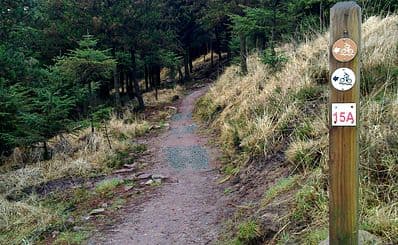 Canon Sheehan Loop