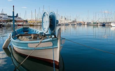 Boat Trips