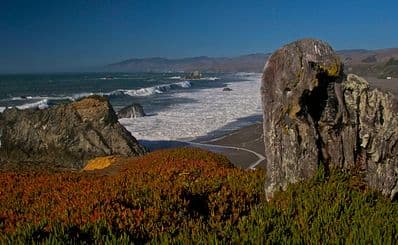 ソノマコースト州立公園 / Sonoma Coast State Park