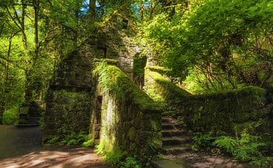 Forest Park