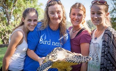 Australian Seabird & Turtle Rescue