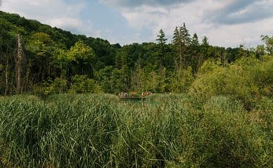 Sports – Recreational Lake Jarki