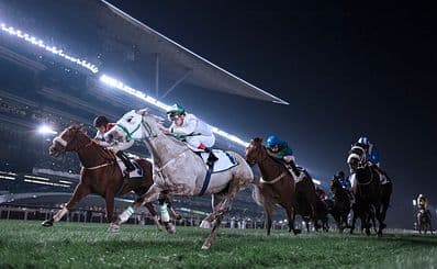 Horse & Camel Racing
