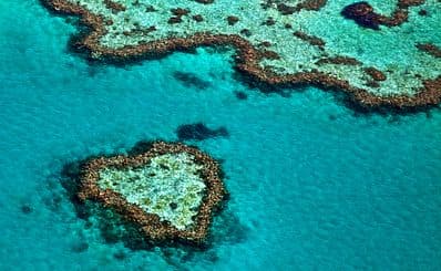 Heart Reef