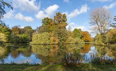 Wilhelmina Park