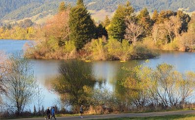 スプリングレイク・リージョナルパーク / Spring Lake Regional Park
