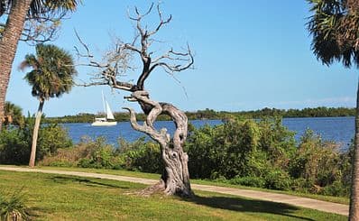 Indian River Lagoon Park