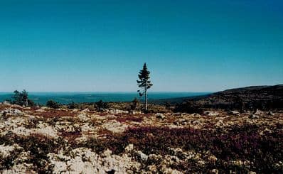 Fulufjällets National Park