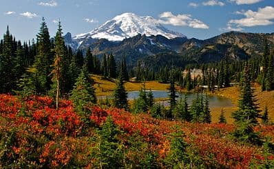 Mount Rainier National Park