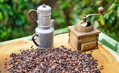 Valle de Agaete — Where the Coffee Grows