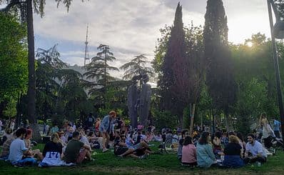 Dedaena park