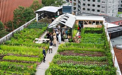 Urban Gardens & Wild Nature