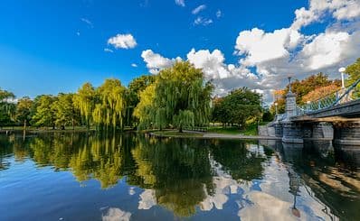 Jardin public