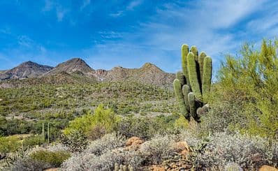 Cave Creek Regional Park