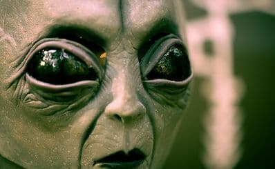 The Freakybuttrue Peculiarium and Museum