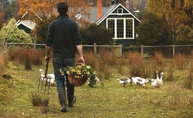 Agrarian Kitchen