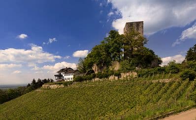 Alt-Windeck Castle