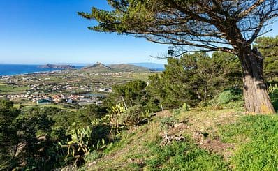 Pico do Facho