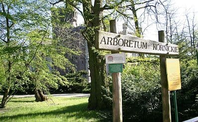 The Kórnik Arboretum
