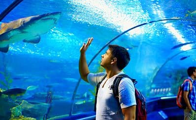 Bristol Aquarium