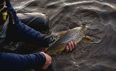 Central Highlands Fly Fishing