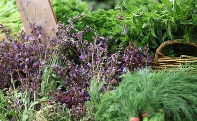 Carriageworks Farmers Market