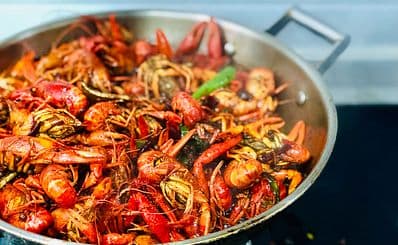 The Krazy Lobster