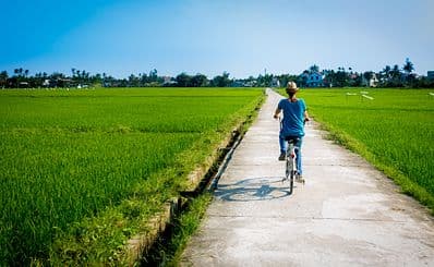 Rice Field Tour