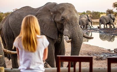 Elephant Sanctuary (Zimbabwe)