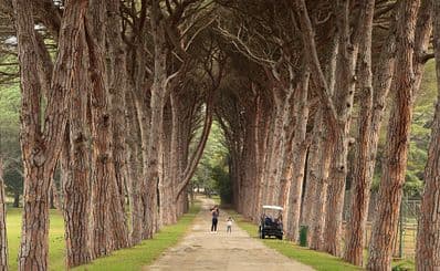 Brijuni National Park