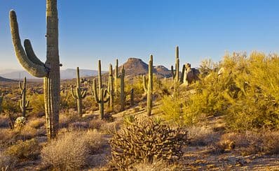 McDowell Sonoran Preserve