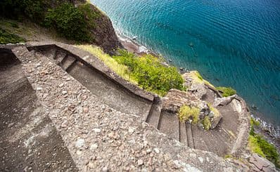 The Ladder