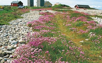 Nidingen Island