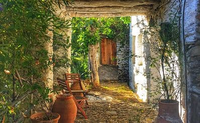 Best Time to Visit