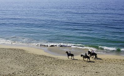 Chenois Creek Horse Rentals