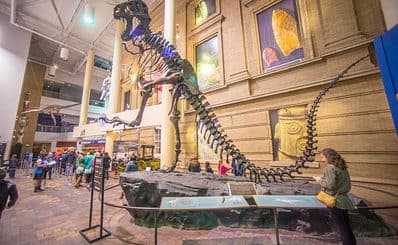 Denver Museum of Nature & Science