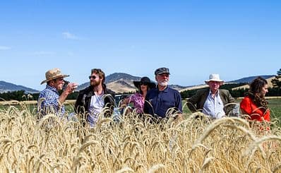 The Tasmanian Whisky Trail